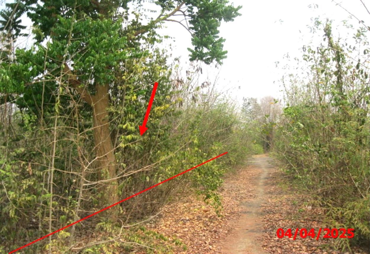 รูป ที่ดินว่างเปล่า สำหรับขาย บ้านสวนอรุณรุ่ง กล้วยแพะ เมืองลำปาง ลำปาง - รูปที่ 8/16