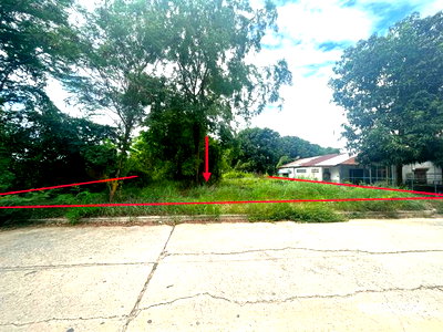 Land for sale Phichit : LAND for sale  Ngiu Rai Taphan Hin Phichit