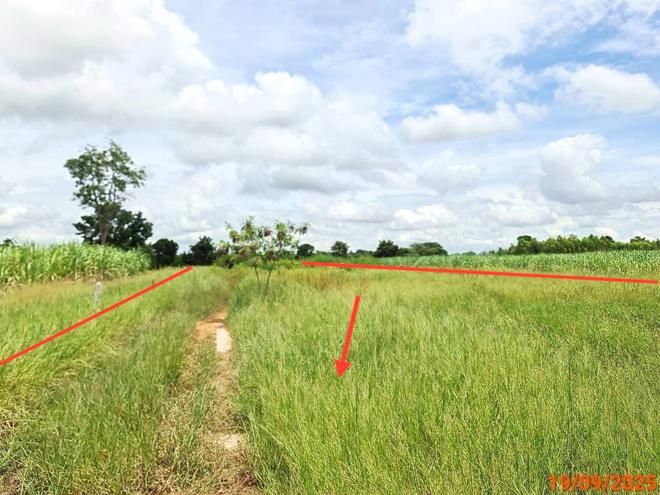 picture LAND for sale Thap Rang Phra Thong Kham Nakhon Ratchasima - 4/16