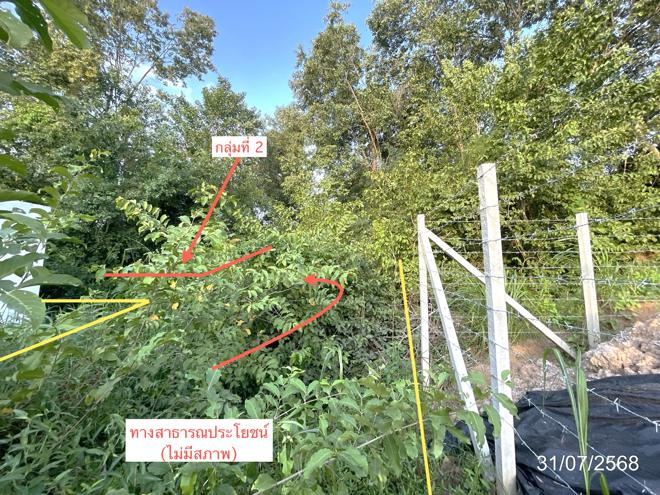 รูป ที่ดินว่างเปล่า สำหรับขาย - น้ำซึม เมืองอุทัยธานี อุทัยธานี - รูปที่ 2/14