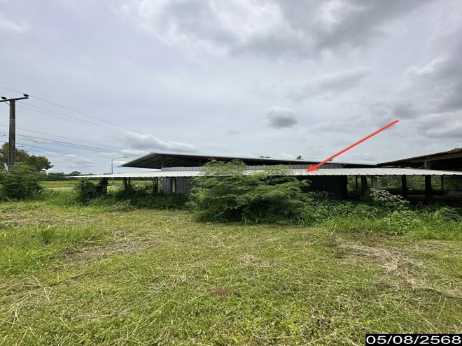 รูป โกดัง สำหรับขาย - นาแต้ เมืองอำนาจเจริญ อำนาจเจริญ - รูปที่ 20/48