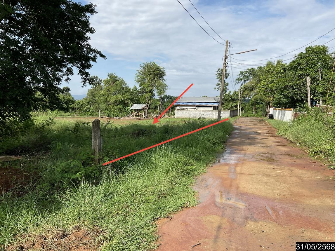 รูป ที่ดินว่างเปล่า สำหรับขาย - นาฝาย เมืองชัยภูมิ ชัยภูมิ - รูปที่ 11/24