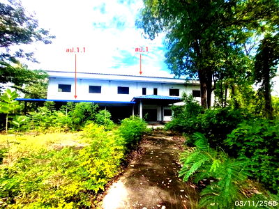 Houses for sale Sawaeng Ha Angthong : HOME for sale  Sri Phran Sawaeng Ha Angthong