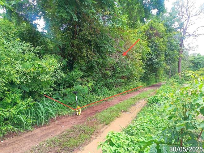 รูป ที่ดินว่างเปล่า สำหรับขาย - ฟ้าหยาด มหาชนะชัย ยโสธร - รูปที่ 3/14