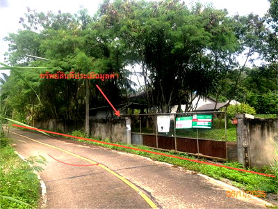 บ้านเดี่ยว 1200 ตร.วา เมืองสุราษฎร์ธานี สุราษฎร์ธานี 15.4M