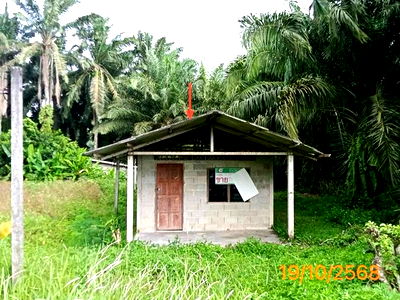 Houses for sale Plai Phraya Krabi : HOME for sale  Kao To Plai Phraya Krabi