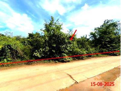 Land for sale Mae Tha Lamphang : LAND for sale  Nam Cho Mae Tha Lamphang