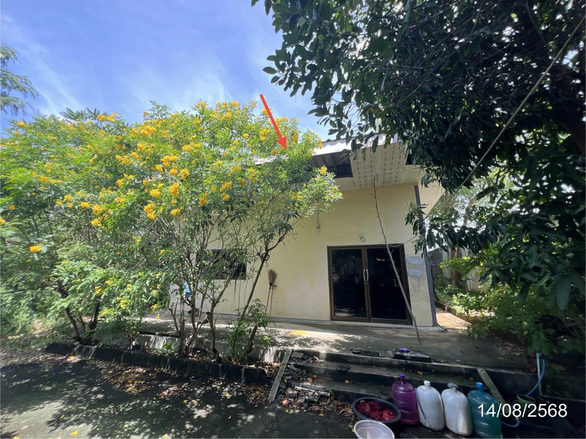 รูป อาคารโรงงาน สำหรับขาย - เขาหินซ้อน พนมสารคาม ฉะเชิงเทรา - รูปที่ 29/42