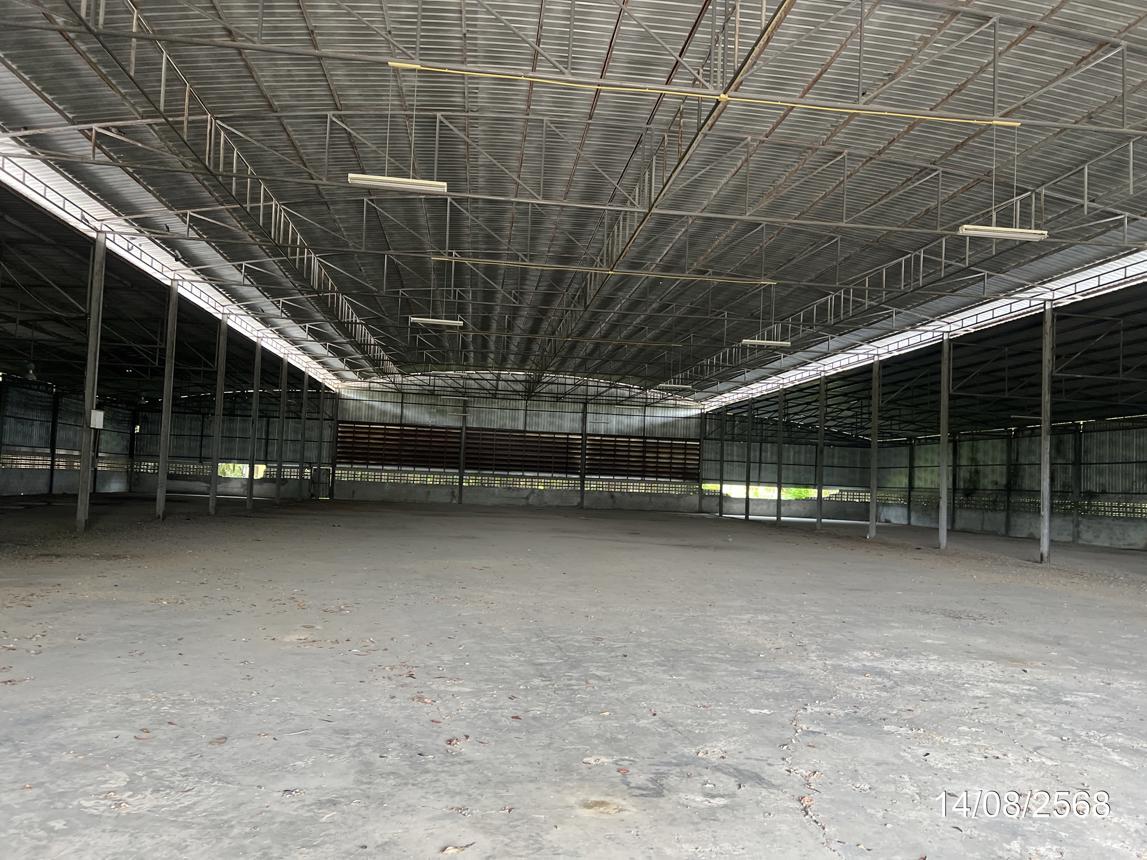 รูป อาคารโรงงาน สำหรับขาย - เขาหินซ้อน พนมสารคาม ฉะเชิงเทรา - รูปที่ 22/42