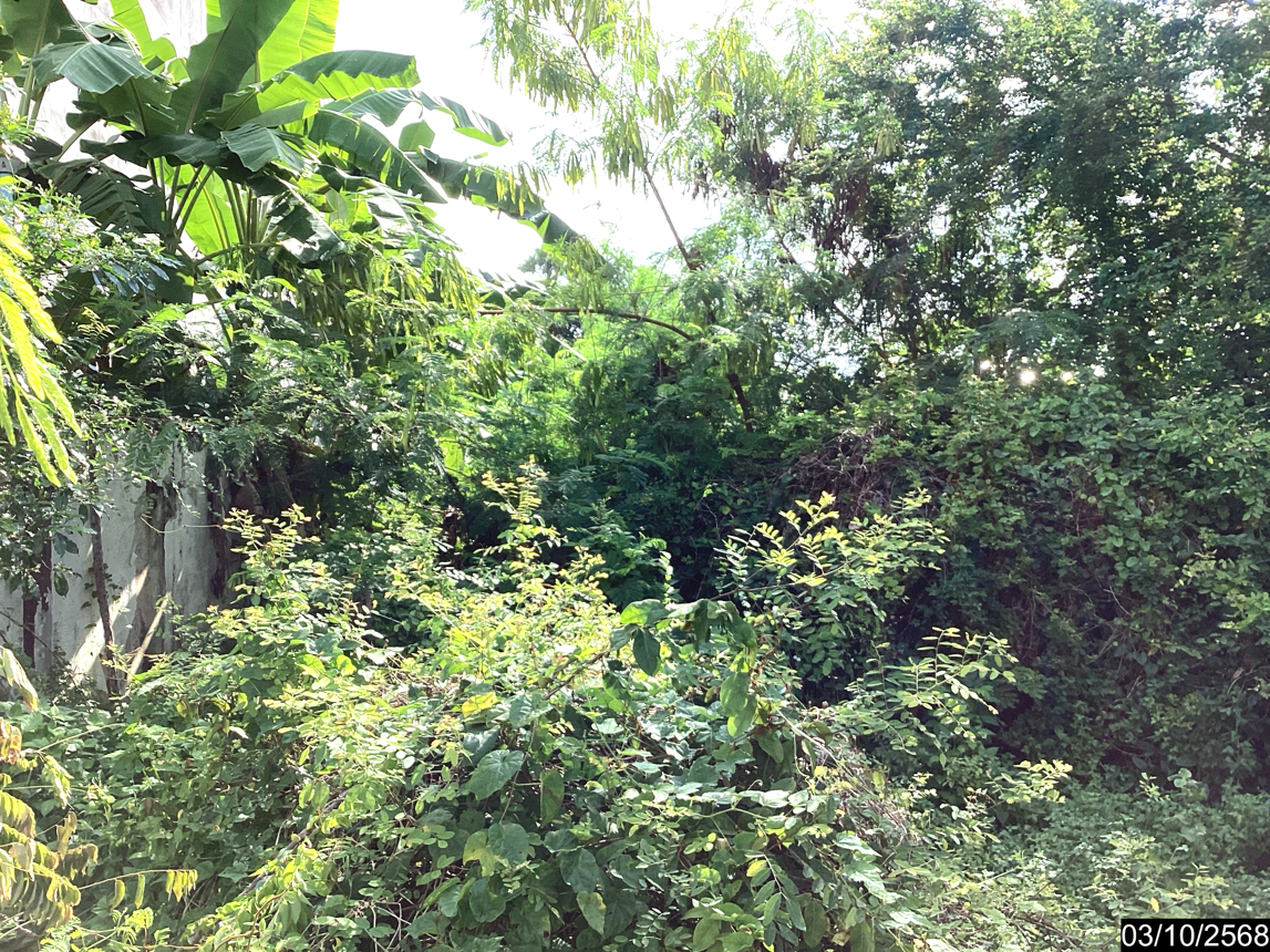 รูป ที่ดินว่างเปล่า สำหรับขาย - หมูม่น เมืองอุดรธานี อุดรธานี - รูปที่ 9/14