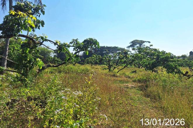 รูป ที่ดินว่างเปล่า สำหรับขาย - น้ำดิบ ป่าซาง ลำพูน - รูปที่ 4/24