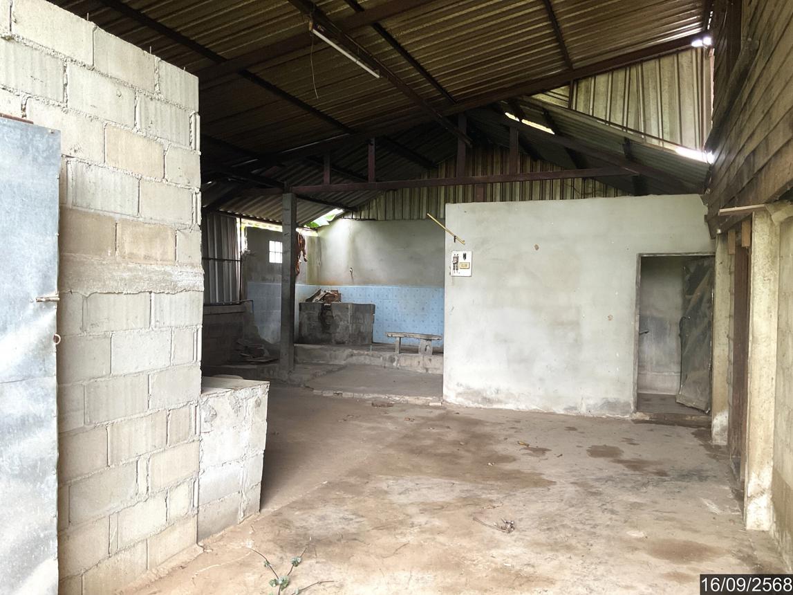 รูป บ้านเดี่ยว สำหรับขาย - ม่วงยาย เวียงแก่น เชียงราย - รูปที่ 28/44