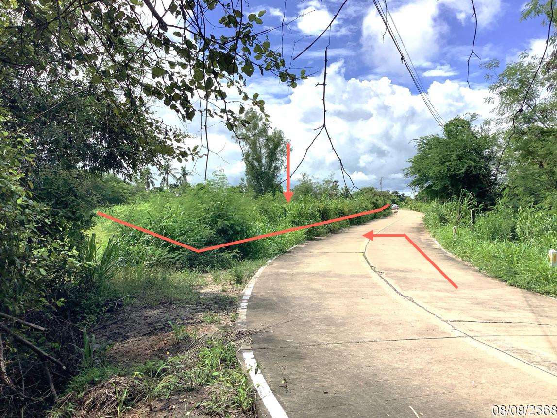 รูป ที่ดินว่างเปล่า สำหรับขาย - บ้านไร่ ลาดยาว นครสวรรค์ - รูปที่ 18/22