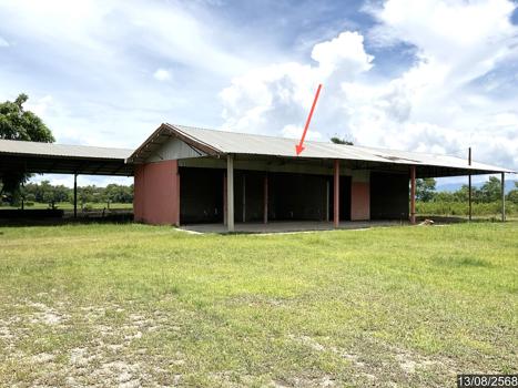 รูป โกดัง สำหรับขาย - ไม้ยา พญาเม็งราย เชียงราย - รูปที่ 27/30