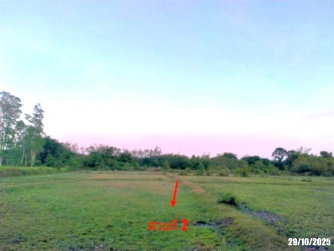 รูป ที่ดินว่างเปล่า สำหรับขาย - โนนสมบูรณ์ เมืองบึงกาฬ บึงกาฬ - รูปที่ 5/20