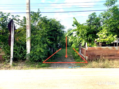 Land for sale Chainat : LAND for sale  Kaboktia Noen Kham Chainat