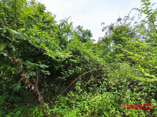 รูป ที่ดินว่างเปล่า สำหรับขาย โครงการบ้านสวนอรุณรุ่ง กล้วยแพะ เมืองลำปาง ลำปาง - รูปที่ 3/20