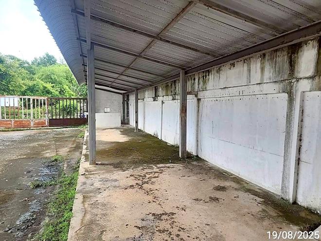 picture FACTORY for sale  Kae Dam Kae Dam Maha Sarakham - 12/44