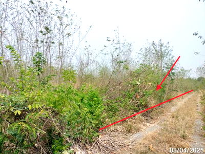Land for sale Muak Lek Saraburi : LAND for sale  Sap Sanun Muak Lek Saraburi