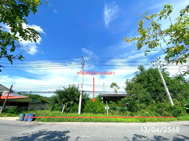 รูป บ้านเดี่ยว สำหรับขาย - สำนักขาม สะเดา สงขลา - รูปที่ 20/44