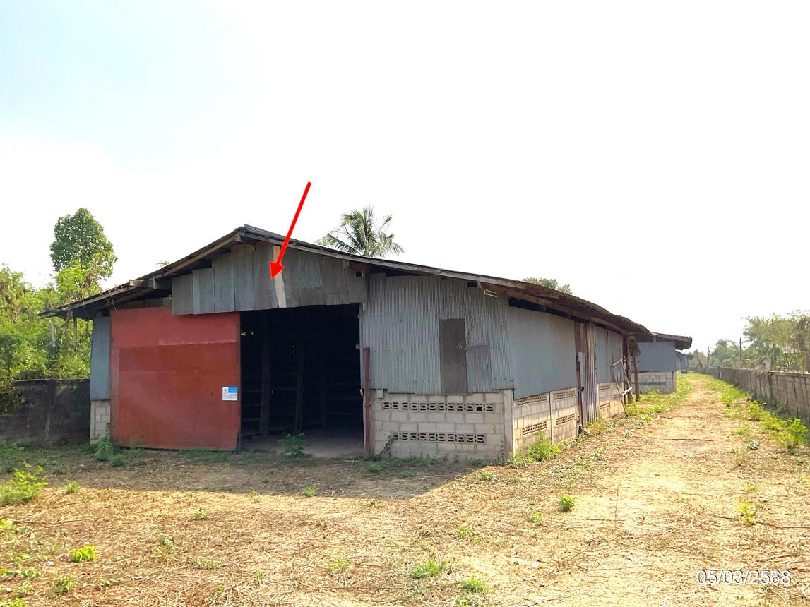 รูป โกดัง สำหรับขาย - บ้านปิน ดอกคำใต้ พะเยา - รูปที่ 21/44