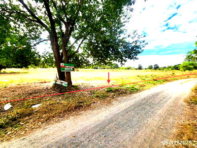 ที่ดิน เชียงยืน มหาสารคาม : ที่ดินว่างเปล่า สำหรับขาย - กู่ทอง เชียงยืน มหาสารคาม