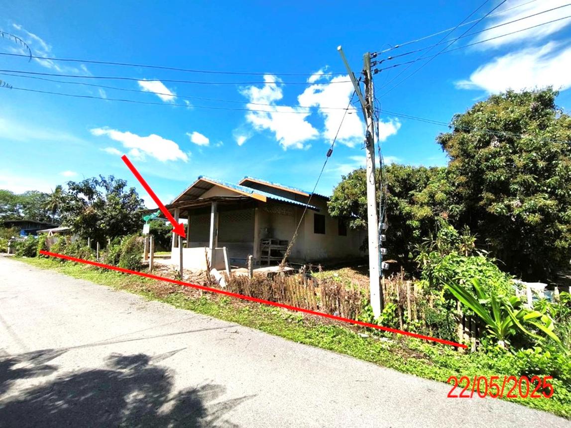 รูป บ้านเดี่ยว สำหรับขาย - ป่าไผ่ ลี้ ลำพูน - รูปที่ 15/32