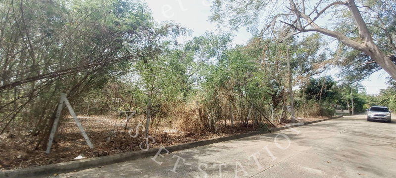 Land for sale : ✨Vacant land in Sivalee Rangsit 1 Village, excellent location, ideal for construction or business.💎