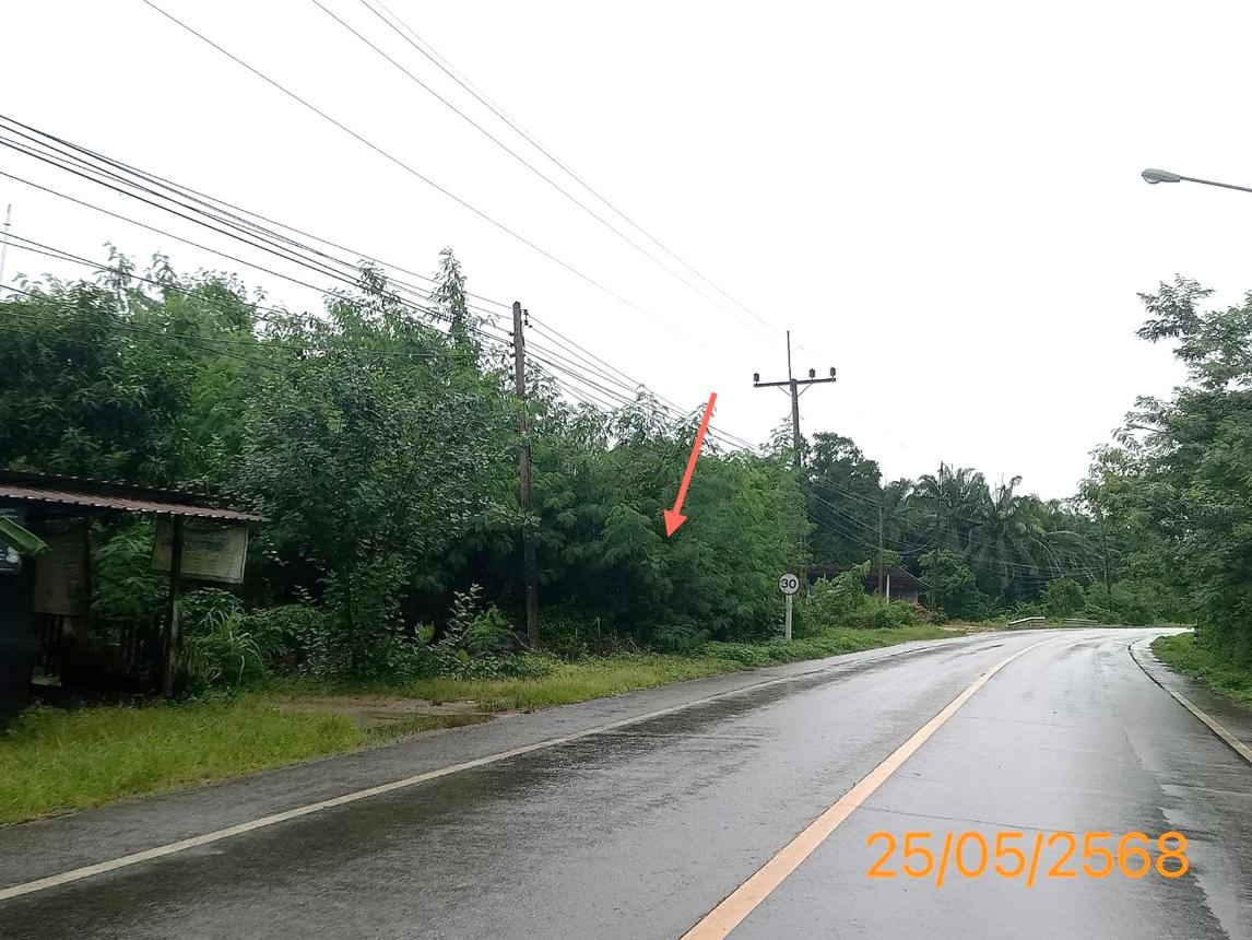 รูป ที่ดินว่างเปล่า สำหรับขาย - ดินอุดม ลำทับ กระบี่ - รูปที่ 16/20