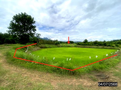Land for sale Tha Li Loei : LAND for sale  A Hi Tha Li Loei