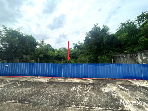 LAND 220 Sq.w. Thap Khlo Phichit for 1.8M