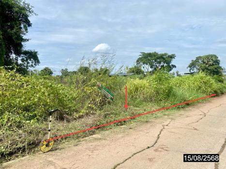 รูป ที่ดินว่างเปล่า สำหรับขาย - เมืองเก่า เมืองขอนแก่น ขอนแก่น - รูปที่ 13/16