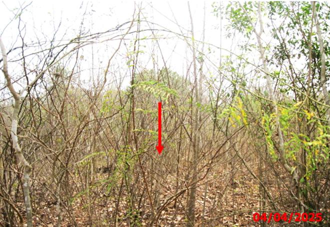 รูป ที่ดินว่างเปล่า สำหรับขาย บ้านสวนอรุณรุ่ง กล้วยแพะ เมืองลำปาง ลำปาง - รูปที่ 6/16