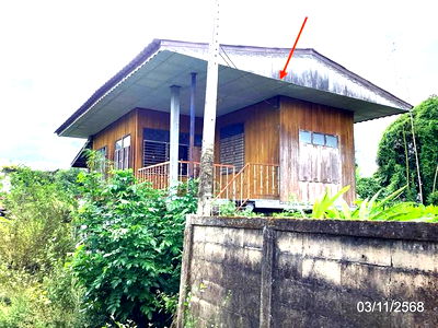 บ้านเดี่ยว สำหรับขาย - บ้านด้าย แม่สาย เชียงราย