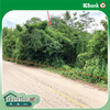 listing thumbnail image 27