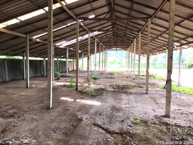 รูป โกดัง สำหรับขาย - แม่เจดีย์ เวียงป่าเป้า เชียงราย - รูปที่ 4/34