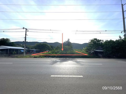 LAND 1887 Sq.w. Wichian Buri Phetchabun for 9.4M