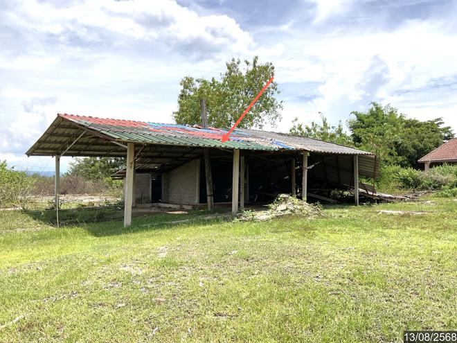 รูป โกดัง สำหรับขาย - ไม้ยา พญาเม็งราย เชียงราย - รูปที่ 8/30