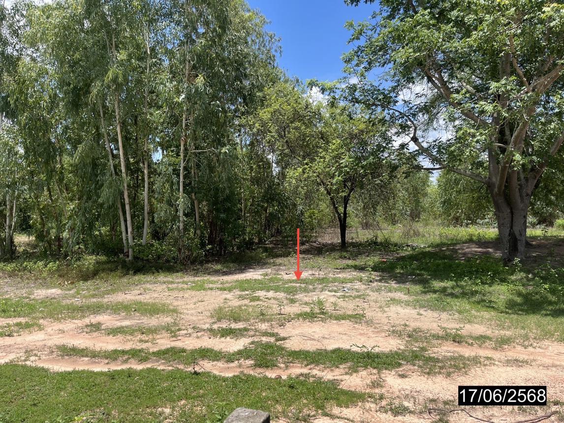 รูป ที่ดินว่างเปล่า สำหรับขาย - บัวขาว กุฉินารายณ์ กาฬสินธุ์ - รูปที่ 12/16