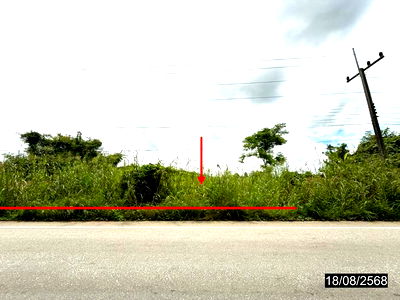 Land for sale Kamphaeng Phet : LAND for sale  Khlong Mae Lai Muang Kamphaeng Phet Kamphaeng Phet