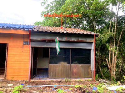 Shophouses for sale Surat Thani : SHOP HOUSE for sale  Khlong Sok Phanom Surat Thani