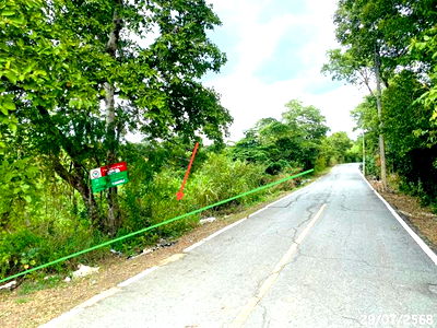 ที่ดิน พระราชอนุสาวรีย์สมเด็จพระศรีสุริโยทัย : ที่ดินว่างเปล่า สำหรับขาย - คลองสระบัว พระนครศรีอยุธยา พระนครศรีอยุธยา