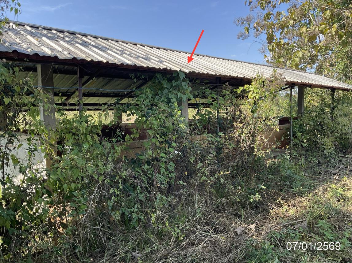 picture FACTORY for sale Muang Kham Phan Chiang Rai - 36/42