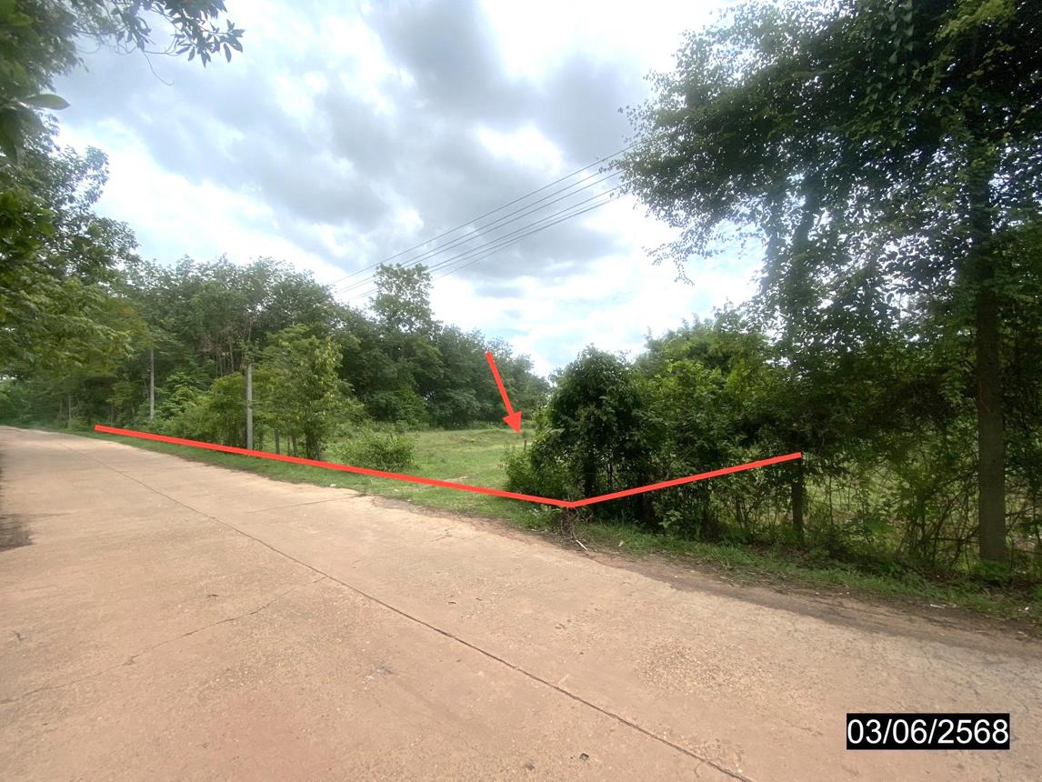 picture LAND for sale  Sri Wilai null Nongkai - 12/24