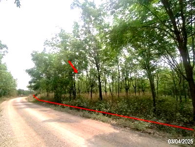 Land for sale Nong Bua Lam Phu : LAND for sale  Non Sa-at Si Bun Ruang Nong Bua Lam Phu