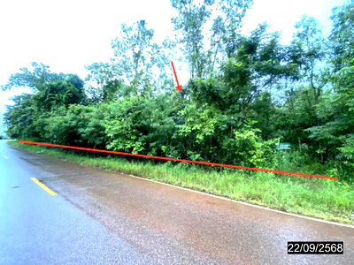 Land for sale Muang Nong Khai Nongkai : LAND for sale  Song Hong Muang Nong Khai Nongkai