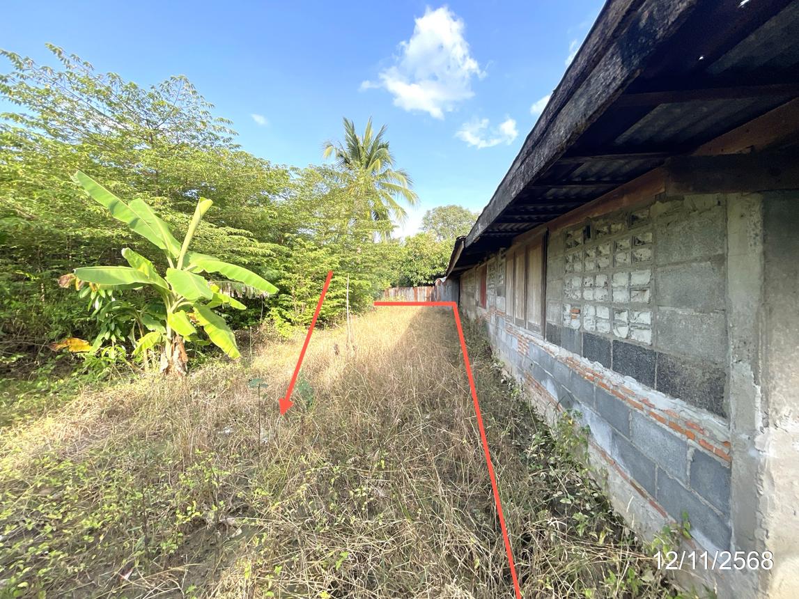 รูป ที่ดินว่างเปล่า สำหรับขาย - กะบกเตี้ย เนินขาม ชัยนาท - รูปที่ 15/20