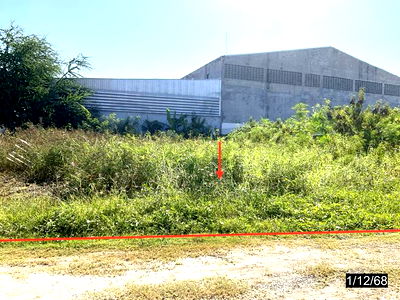 Land for sale Khon Kaen : LAND for sale  Chum Phae Chum Phae Khon Kaen