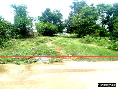 Land for sale Kalasin : LAND for sale  Lam Nong Saen Nong Kung Sri Kalasin