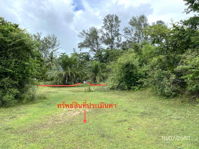 picture LAND for sale Ko Sukon Palian Trang - 5/24